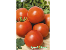 ����� �������� 11,30 ���. (0,1 ��.).jpeg