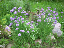 ��� ����� ������� ���ԣ� ���, ��������� �ޣ�.jpg