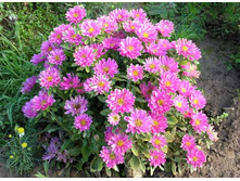 ����� ��������, ���� �� ��������� � �����2.jpg