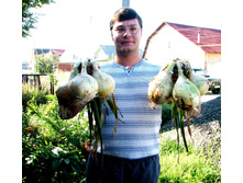 ��� �������� ������� ������ ���. ����.jpg