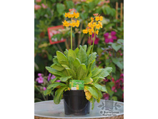 ������� ���������� � ������.jpg