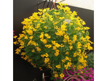 .��������� ��������� ��������� �����. ���. ����. ����� ������ �� ���������3.jpg