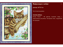 �-1428 ����� ��� ������ (��) 19�27 ���� 842 ���.png