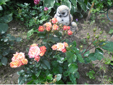 ����� ������.JPG