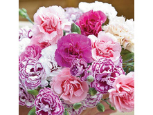 �������� ����������� ���������� ����� 10,70 ���. (0,1 ��.).jpg