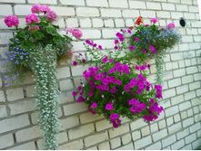 �������� ������� � �������, �����9.jpg