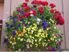 ���������� � ����������3.jpg