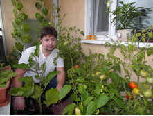 ������ ����� �����