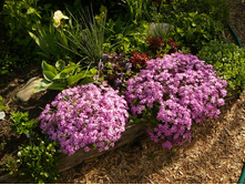 ����� �������� ��������3.jpg