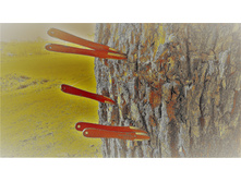 ����������� ���� 3�.jpg