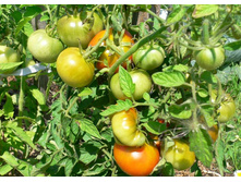 ����� ������ ���. ����3.jpg