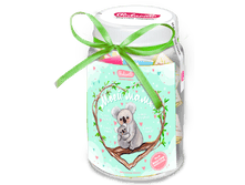 ���� ���� (�����) -.png