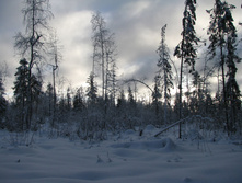 IMG 8276.jpg