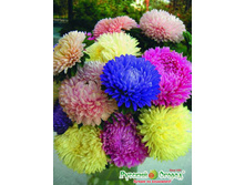 ����� ���� �����, ����� 17 ���. (30 ��.).jpeg