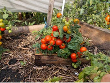 ����� ������� �����6.jpg