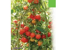 ����� ������� �����.jpg