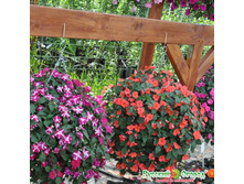 ��������� ������� ���������4.jpeg