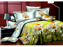 ������ ������ 3D new.jpg