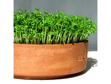 ����������� ���. ����3.jpg