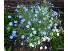 ��� �������� ������2.jpg