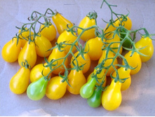 ����� ������� ����� ���. ����.jpg