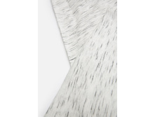 20106440024   Ficus        (      ).jpg