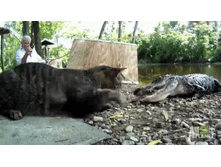 ��� �أ� �� ����� ������� ���������