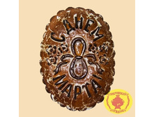 0,7��23	���-������ 8 ����� (700 ��) ���� (������� ��������� ������ � ������� ����)	206 ���.