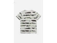 20110110092   Alonso        (    ).jpg