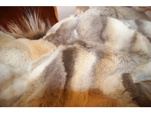 ��� ��� 009.jpg