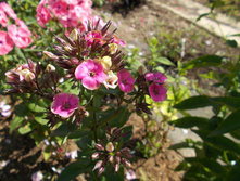 ������*)