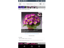 Screenshot 20180220-194945.png