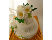 ��������� � ����� ����������