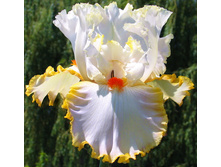 LINDA’S CHILD ������� 03