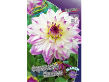 ������� ��������� ������ (97.406 ���.)