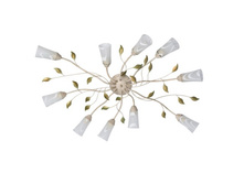 242015510 5000�.jpg