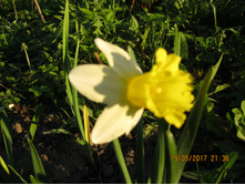 IMG 0620.JPG