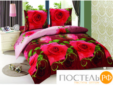 BZ Roza DOUBLE M.jpg