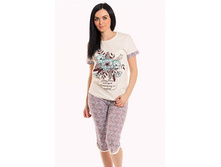 3/17130-� ��������