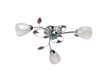 319013903 1300�.jpg