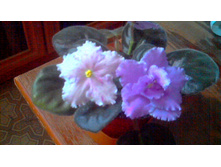 ��-������