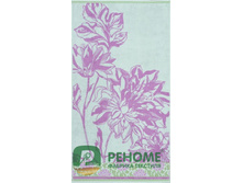 ��������� �������� ��������� ��������