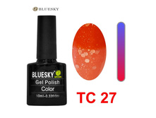 Bluesky.TS.27.����-��� .������ ���� �� ��������� �����������