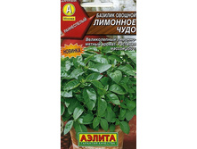 ������� �������� ����