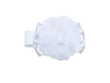 �������-������ FLORENCE BY ARSI �����.jpg