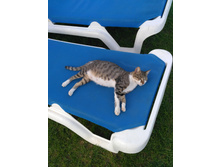 IMG 20170906 164341.jpg