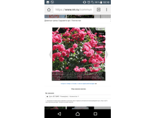Screenshot 20180221-101033.png
