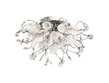 294014416 9900�.jpg