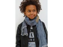 20106440025   Phlox        (   ).jpg