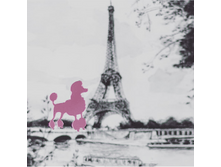 IMG 20180227 172029.png